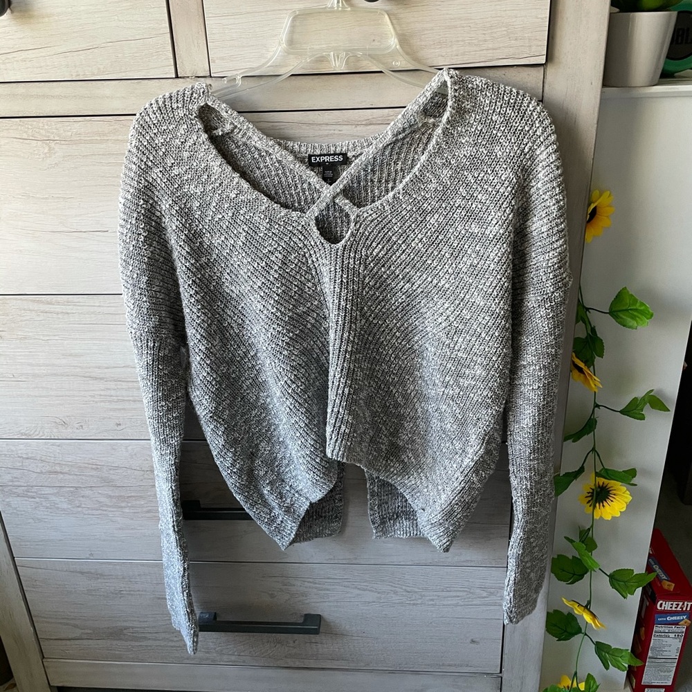 Express Cropped Sweater